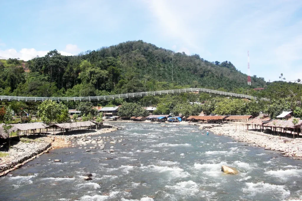 bukit lawang