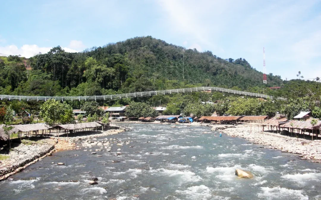 Elephant Washing & Jungle Trekking 5D 4N