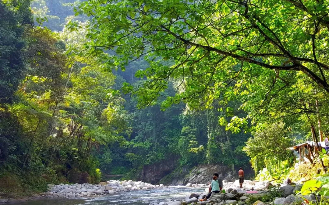 BUKIT LAWANG TREKKING + TUBING RIVER