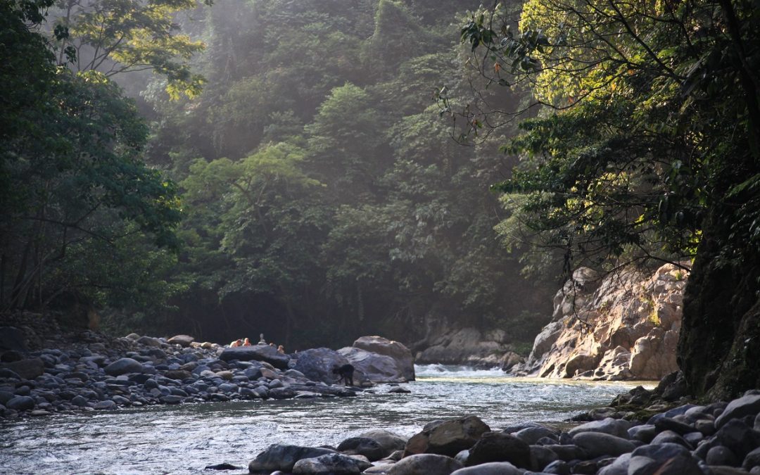 Leuser National Park Tracking